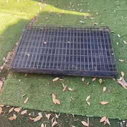 Dog Kennel