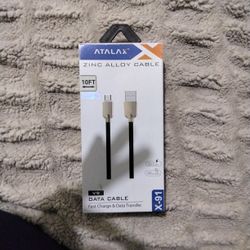 10 FT Fast Charger - Type C