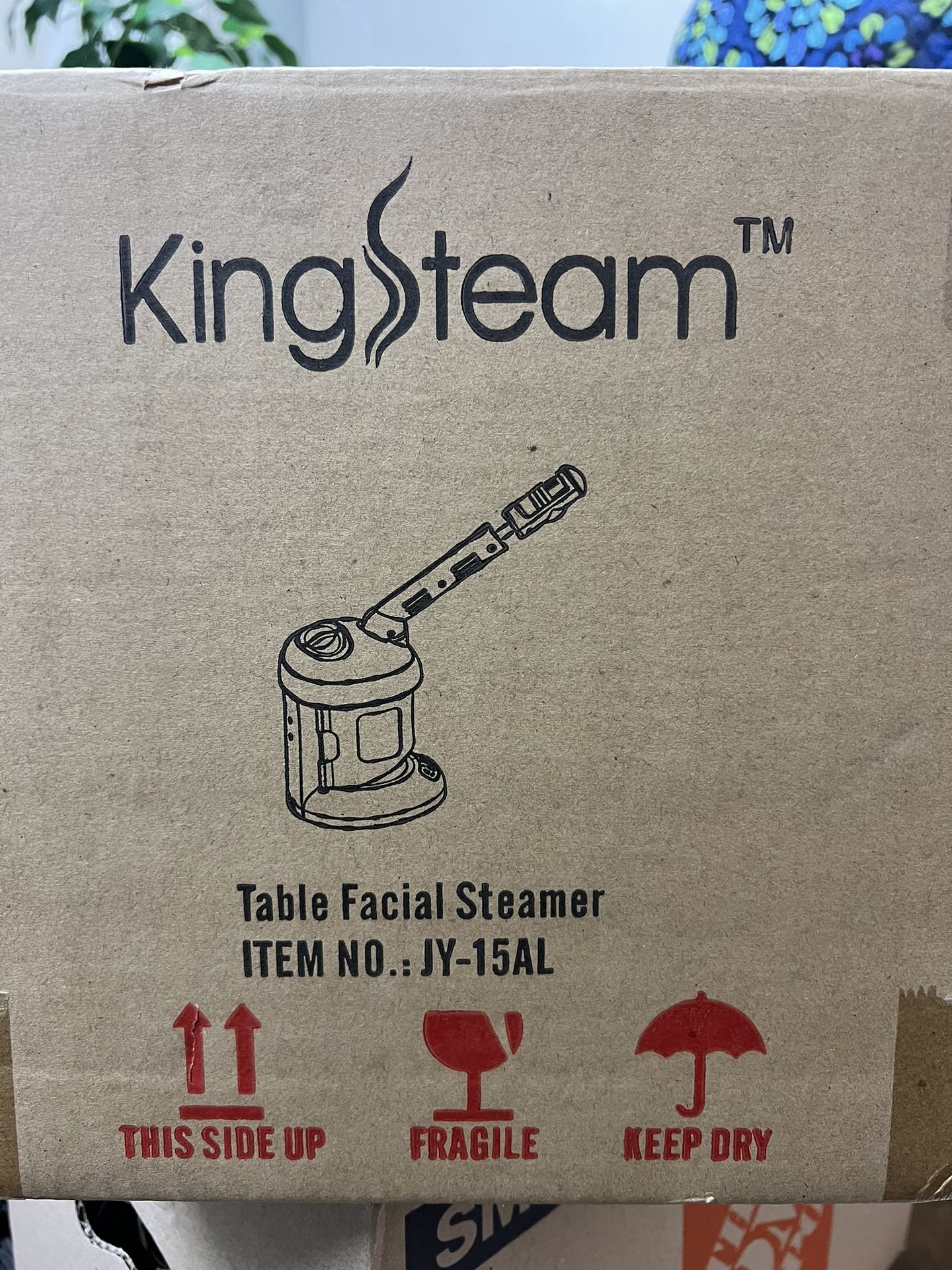 Facial steamer