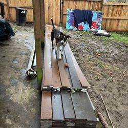 Trex Select (Saddle Color) 