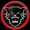 Wildcat