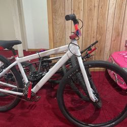 Se Bike 29 Inch Fs 300