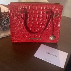 Brahmin Purse