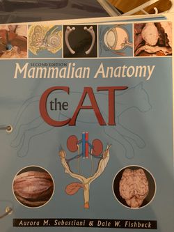 The Cat Mammalian Anatomy