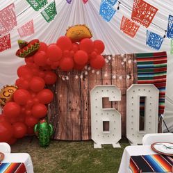 Balloons & Backdrop Decorations
