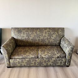 Pullout Sleeper Couch