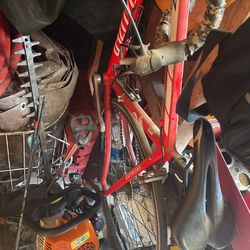 Specialized Bike And Bush Timmer