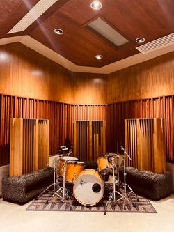 Custom Studio Diffusers/Baffles