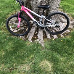 24” Nishiki Mountain Bike