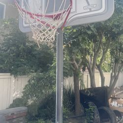 FREE!  Basketball hoop