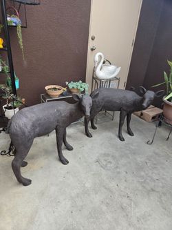 2 venados
