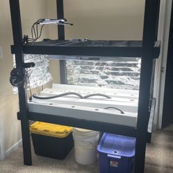 Hydroponic System