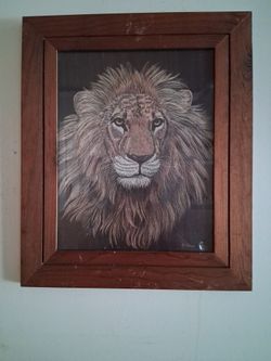 Framed Lion Scratchboard Art