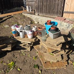 Free Pots-plants