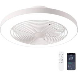 Ceiling fans with lights