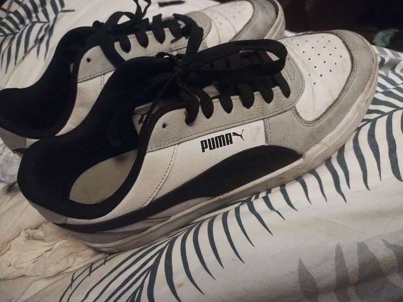 Puma Carter