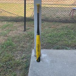 Easton Fastpitch Bat