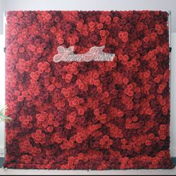 Party Backdrops