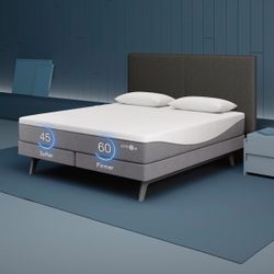 Sleep Number P6 - king mattress