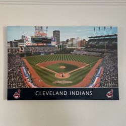 Cleveland Indians Stadium Wall Art Photography