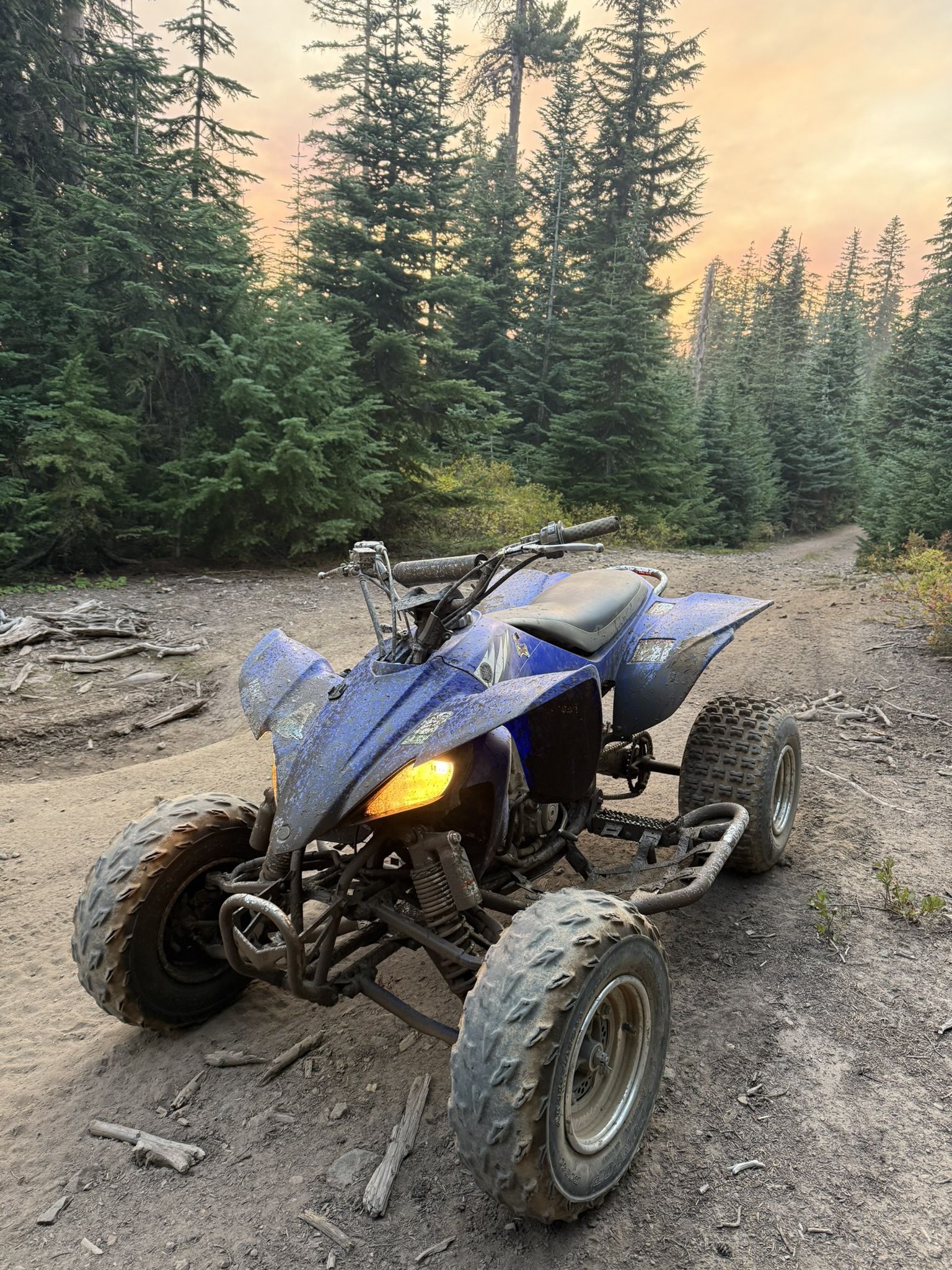 2006 Yamaha Yfz 450