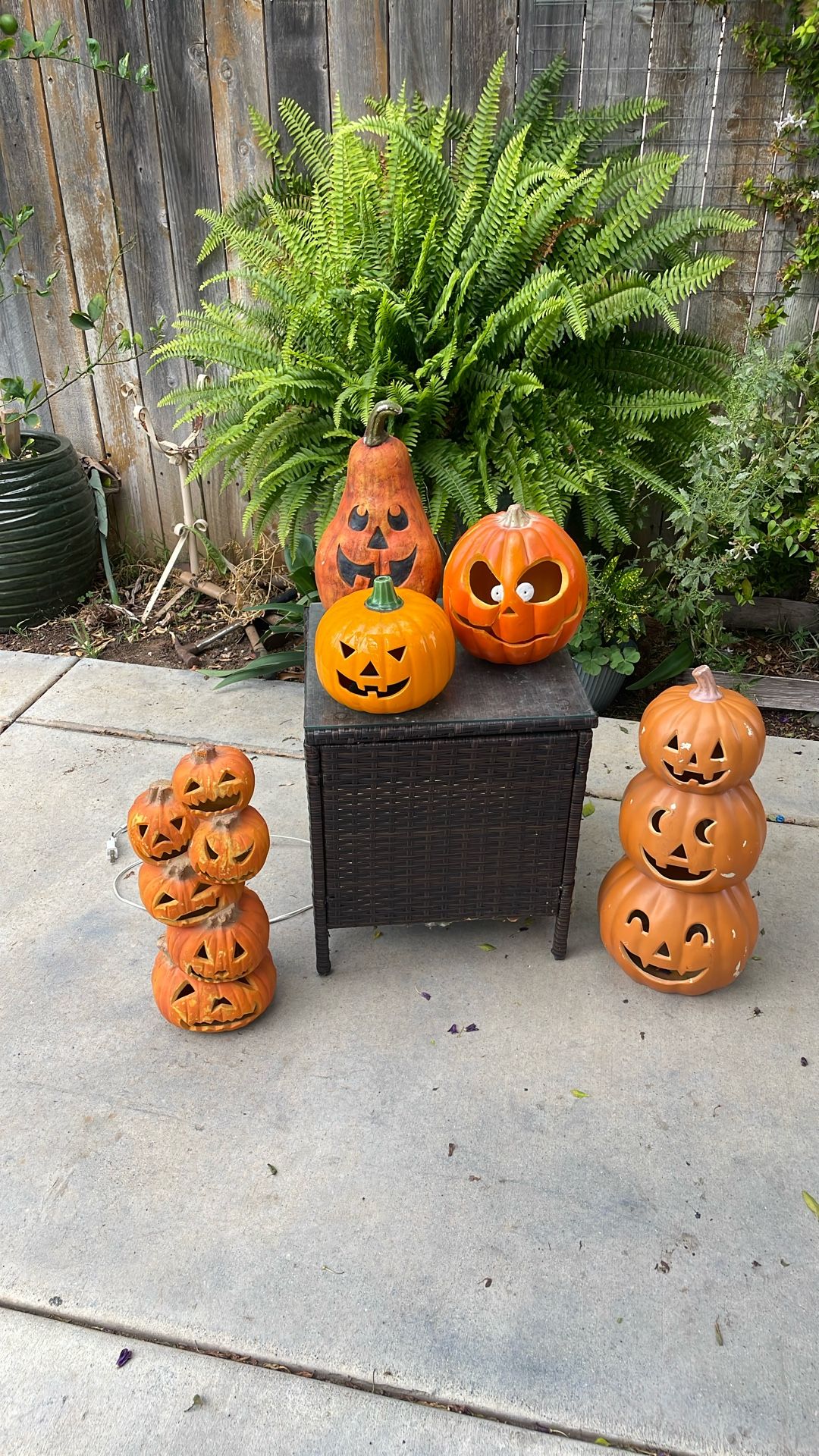 Halloween Pumpkins Lot