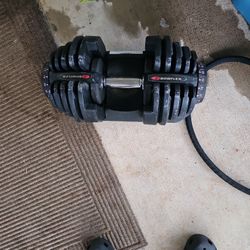 10~90 Pound Adjustable Dumbbell 