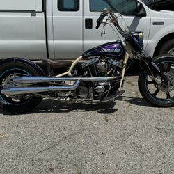 1980 Harley-Davidson Sportster