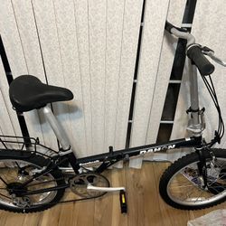 Dahan Boardwalk Folding Bike 