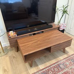 Coffee Table or TV Console/Both For Sale