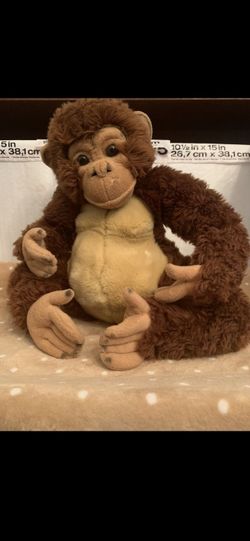 Monkey $15.00 cash only (serious buyers)