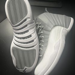 Jordan 12 Stealth Size 13 New