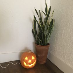 Pre-owned halloween decoration combo