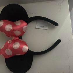 Disneyland Ears 