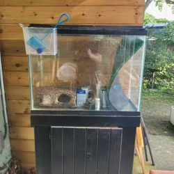 38 Gallon Fish Tank