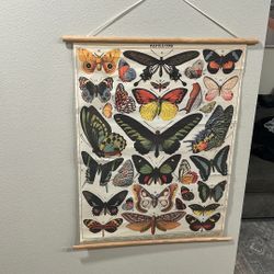 Butterfly Poster 