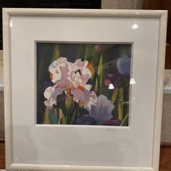 Susan McKinnon Signed & Numbered Iris Print – “Iridessence III” – Framed with COA