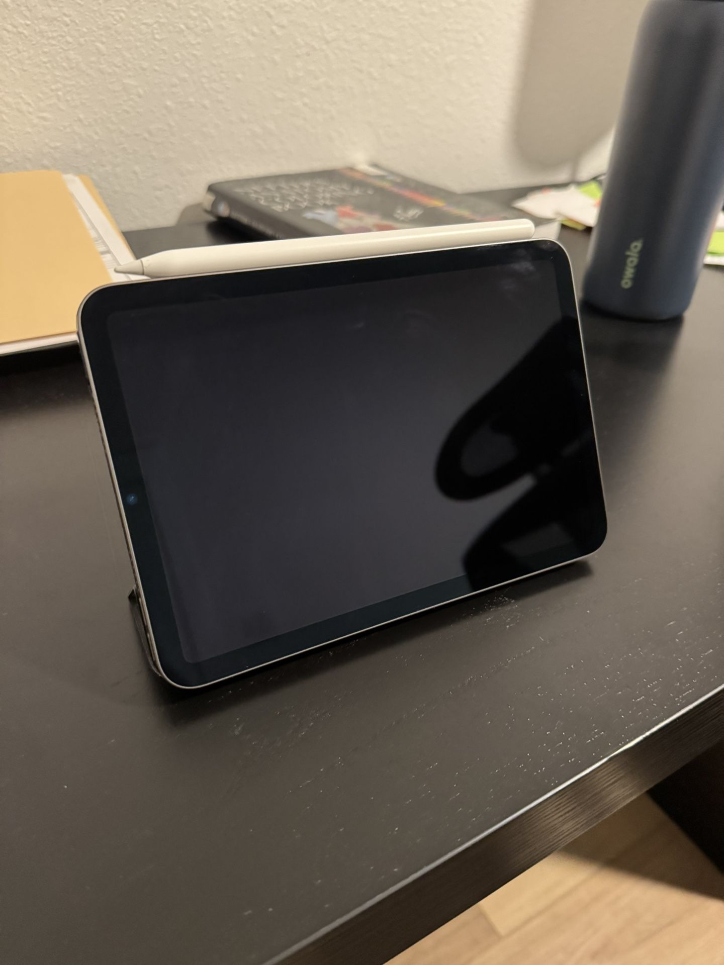 iPad mini 6th Generation 256 GB