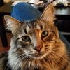 BigMeatyPawz [Jesse]