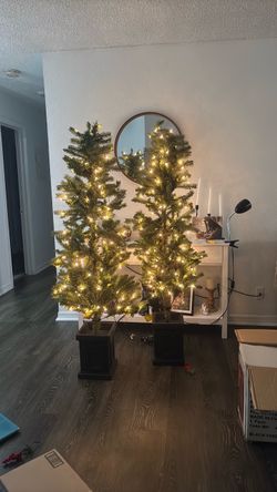 6 ft overlook potted pre lit Christmas tree 2 pk