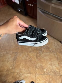 Toddlers Vans 5c