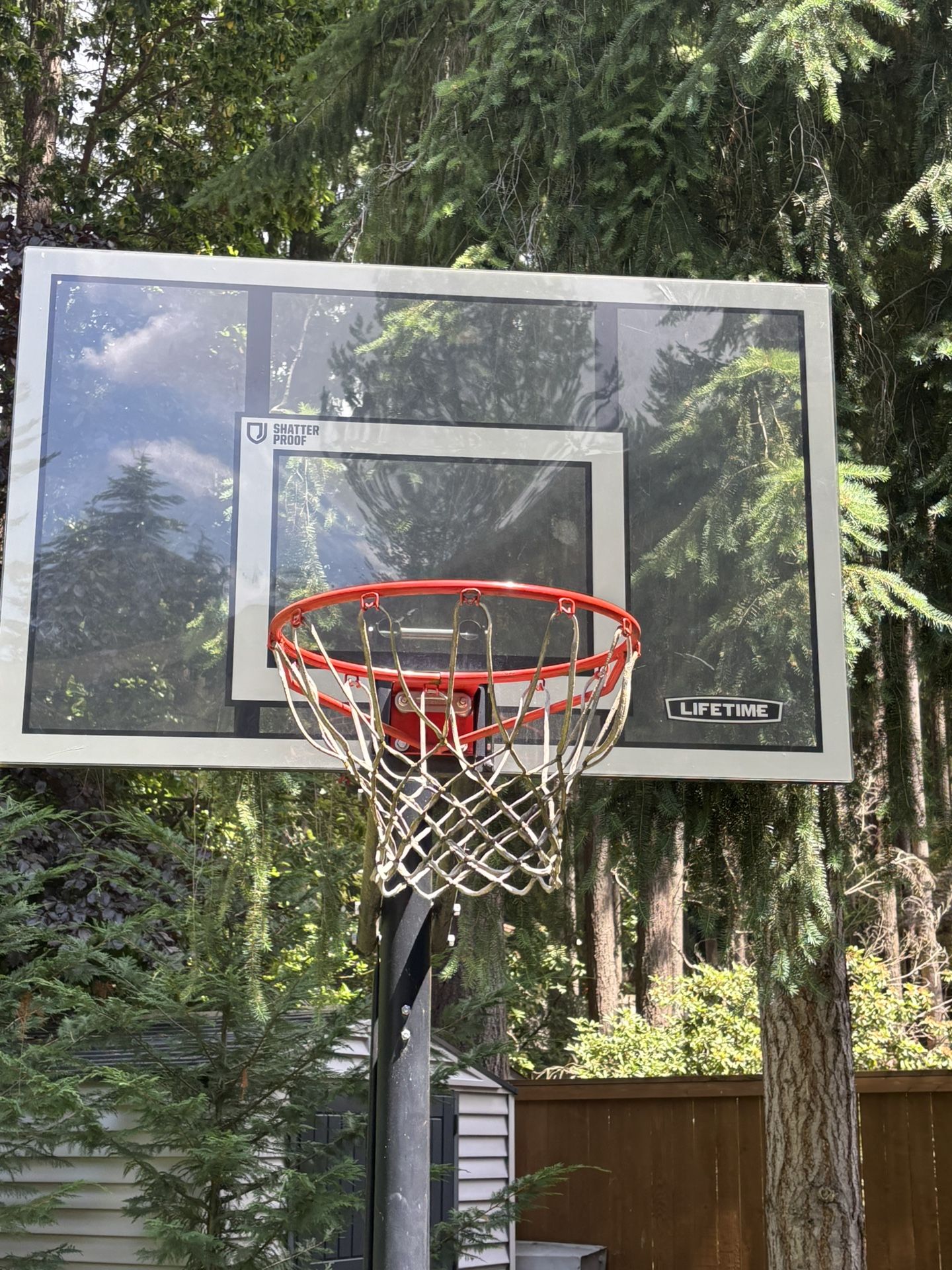 Lifetime Adjustable Basketball Hoop