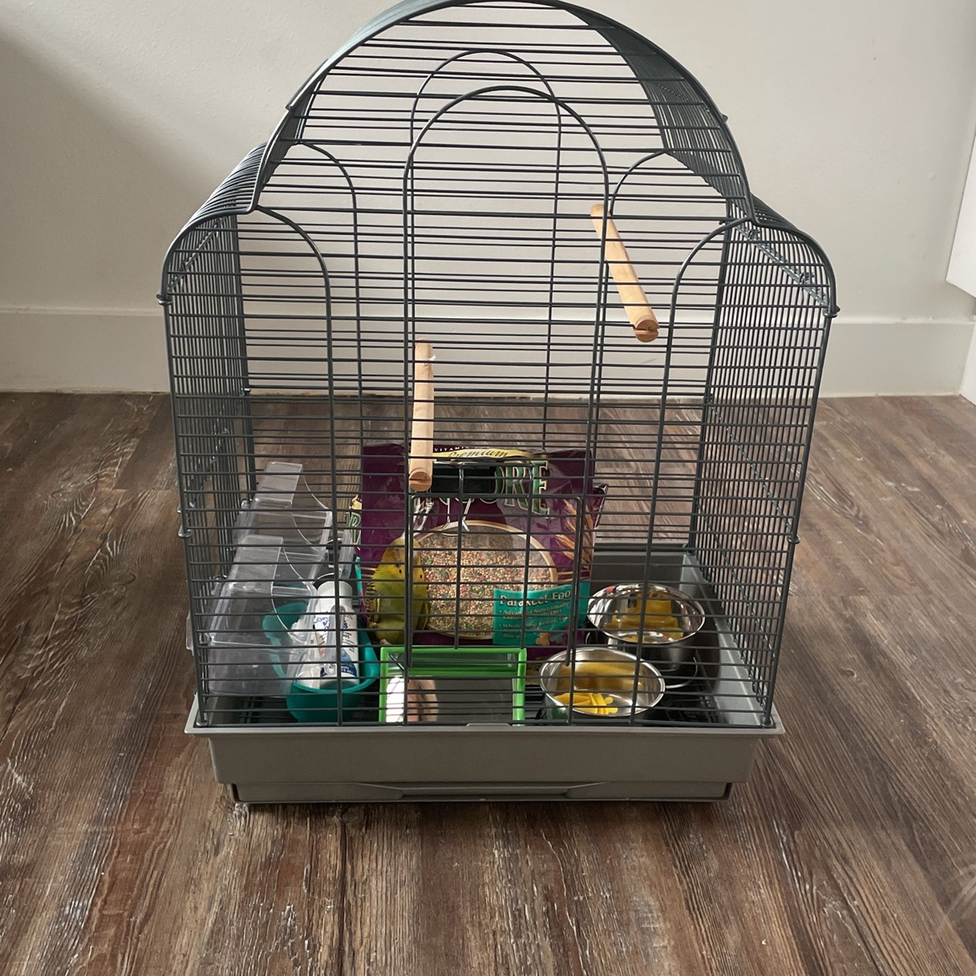 Small bird cage