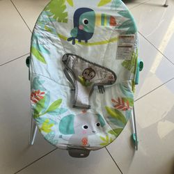 Bright Starts Baby Bouncer Soothing Vibrations Infant Seat