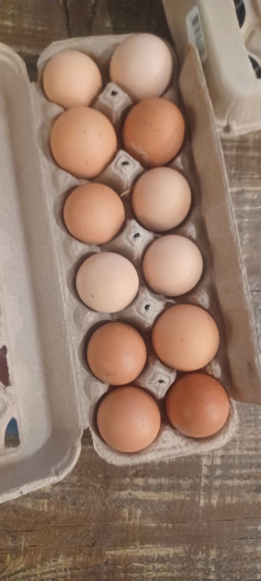 Eggs