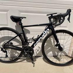 2021 Cervelo Caledonia 51