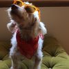 Tobi