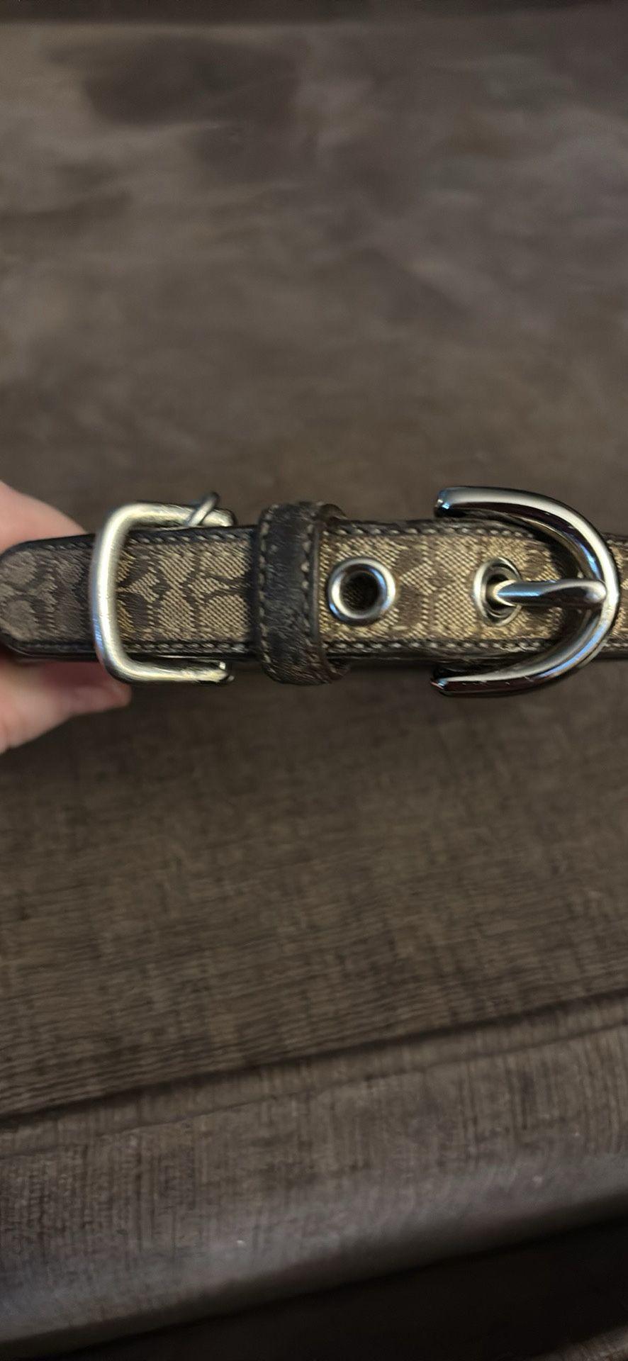 Pet Collar