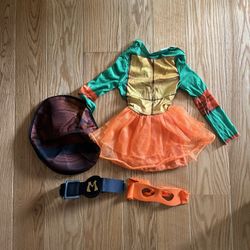 Girl’s Ninja Turtle Costume 