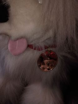 Disney plush dogs..